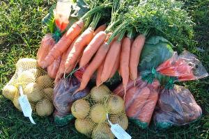 Овощи с доставкой Город Йошкар-Ола